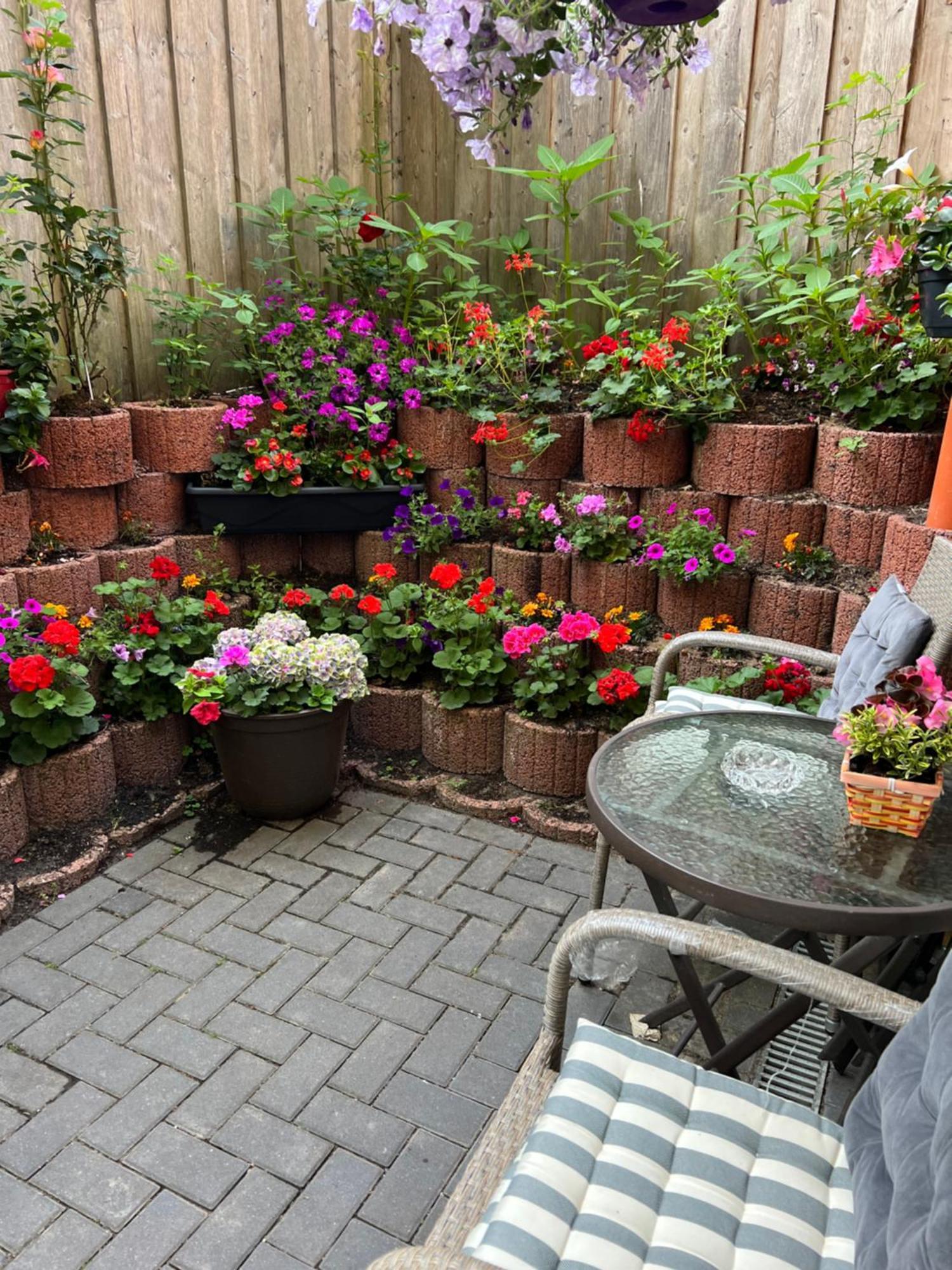 Ferienwohnung Bispingen Exteriör bild